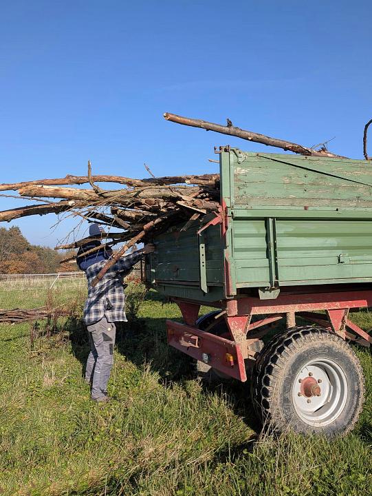 Bild: 20251129-171432.jpg